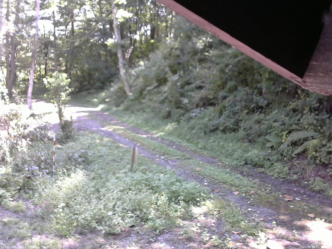 長野県菅平高原 ゆたか山荘 東側(坂下) 2025/09/06 11:15