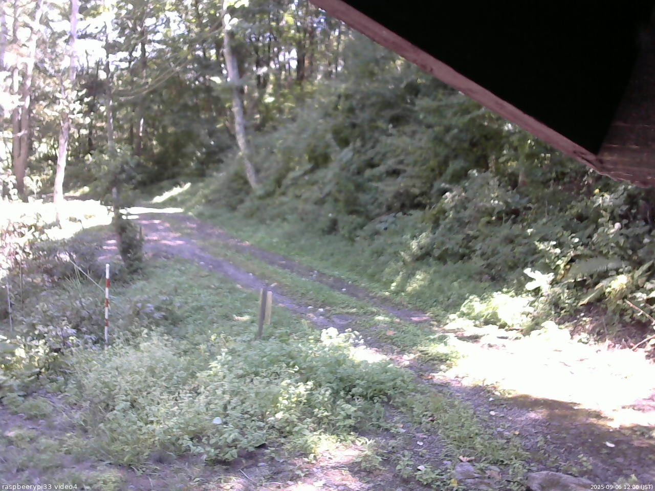 長野県菅平高原 ゆたか山荘 東側(坂下) 2025/09/06 12:00
