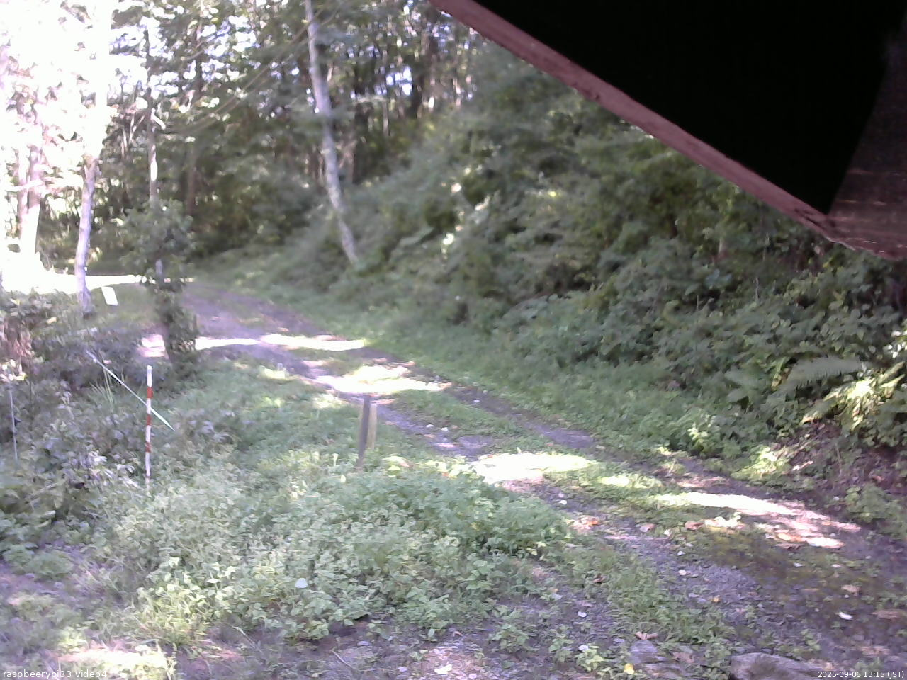 長野県菅平高原 ゆたか山荘 東側(坂下) 2025/09/06 13:15