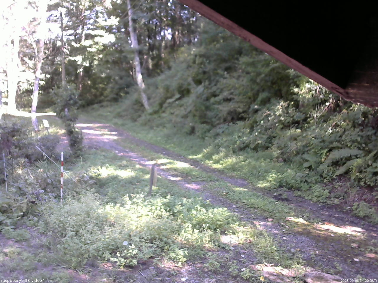 長野県菅平高原 ゆたか山荘 東側(坂下) 2025/09/06 14:00