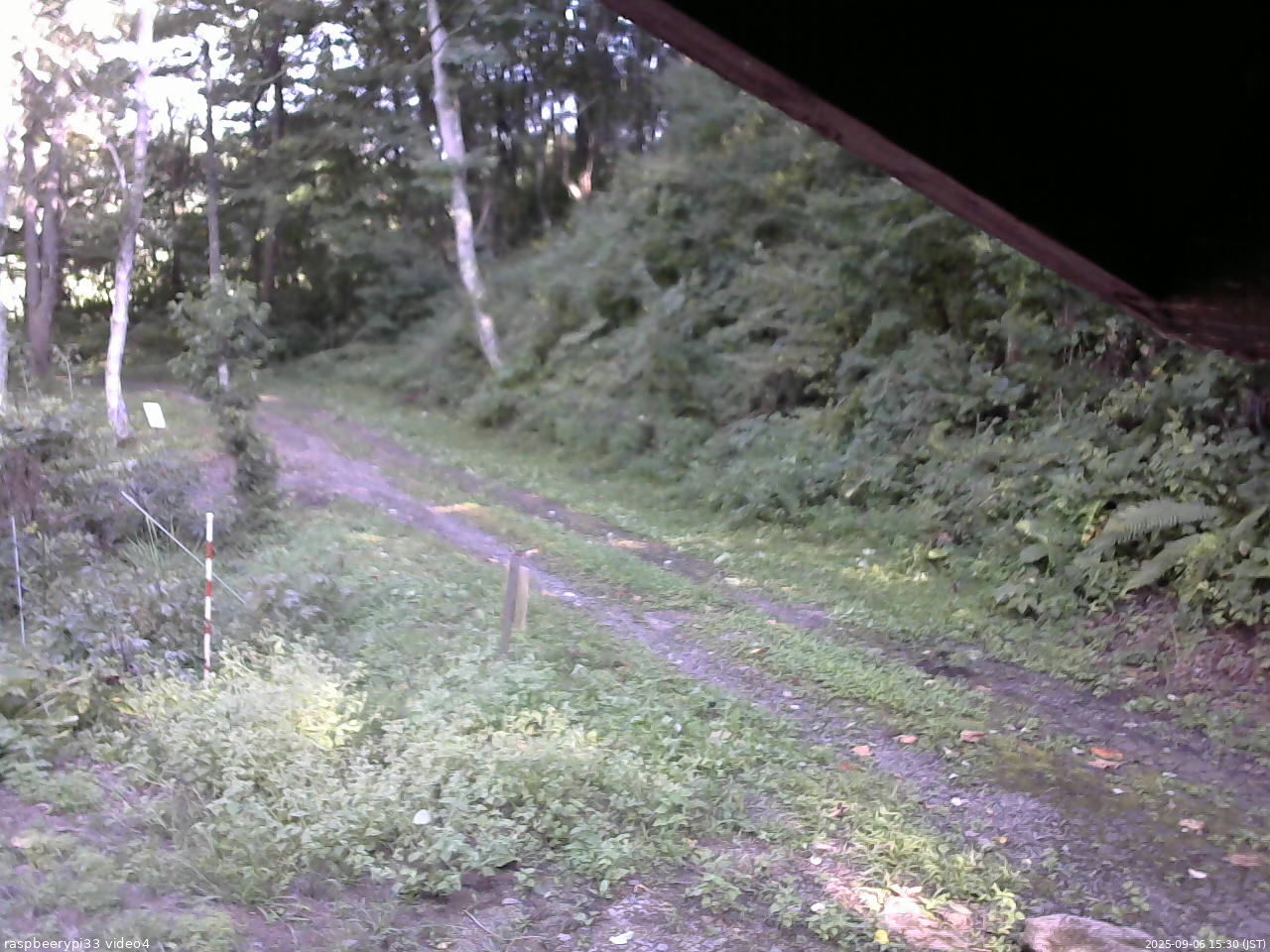 長野県菅平高原 ゆたか山荘 東側(坂下) 2025/09/06 15:30