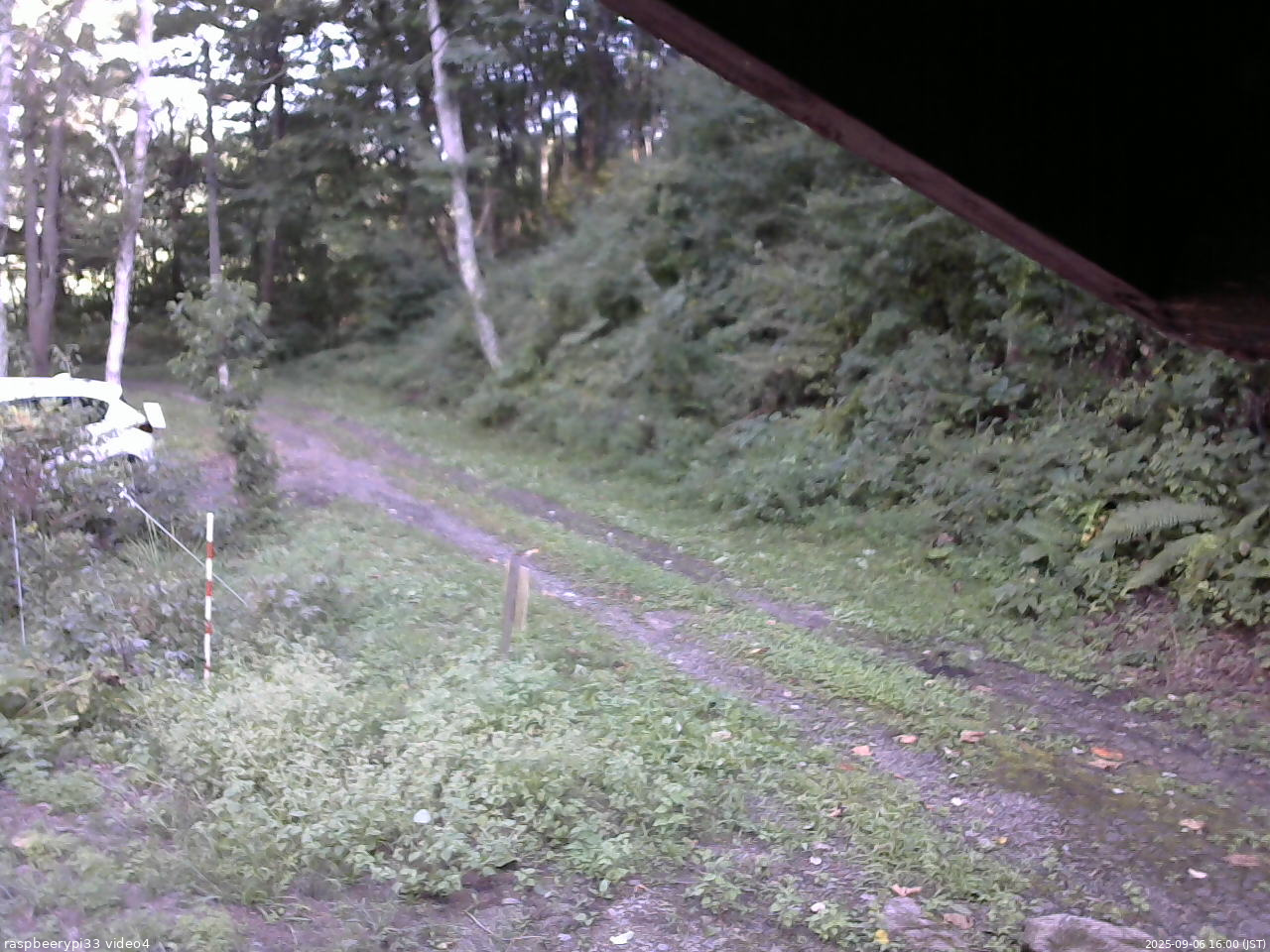 長野県菅平高原 ゆたか山荘 東側(坂下) 2025/09/06 16:00