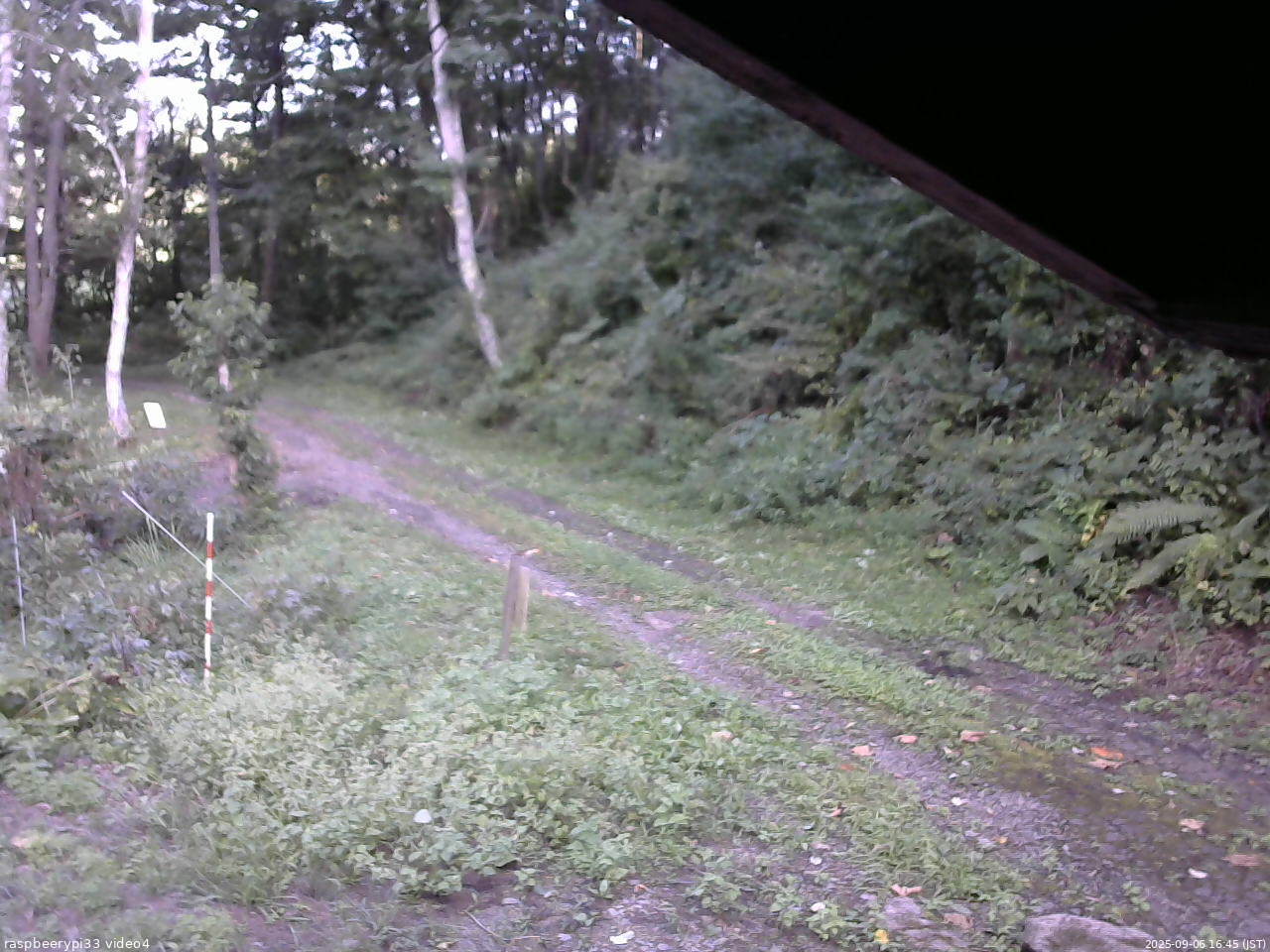 長野県菅平高原 ゆたか山荘 東側(坂下) 2025/09/06 16:45