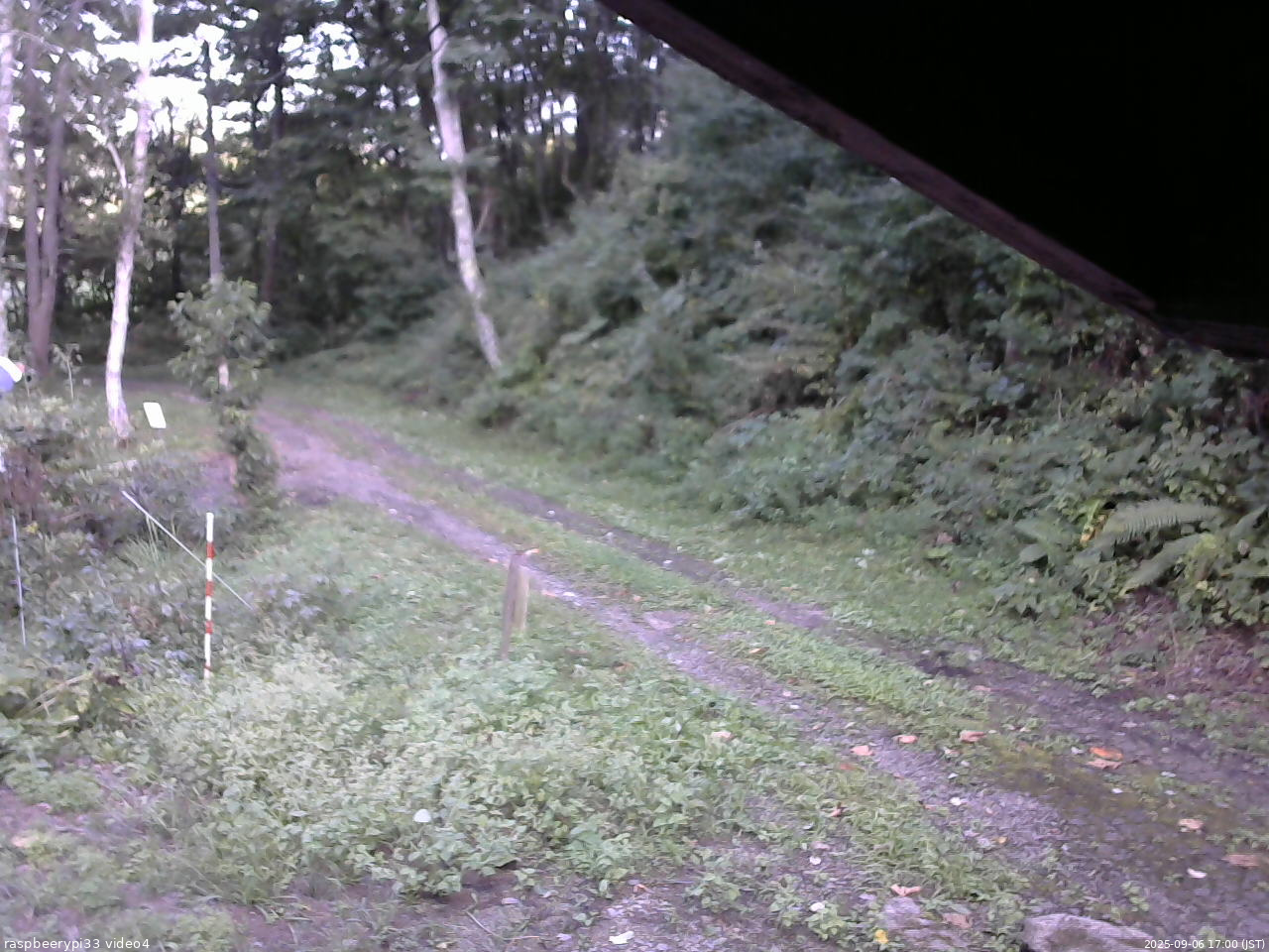 長野県菅平高原 ゆたか山荘 東側(坂下) 2025/09/06 17:00