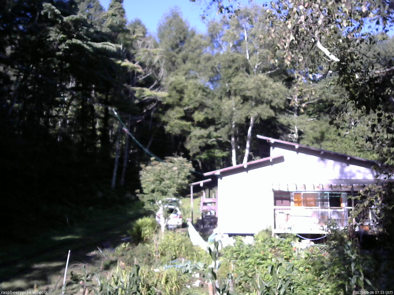 長野県菅平高原 ゆたか山荘 西側(坂上) 2025/09/06 07:15