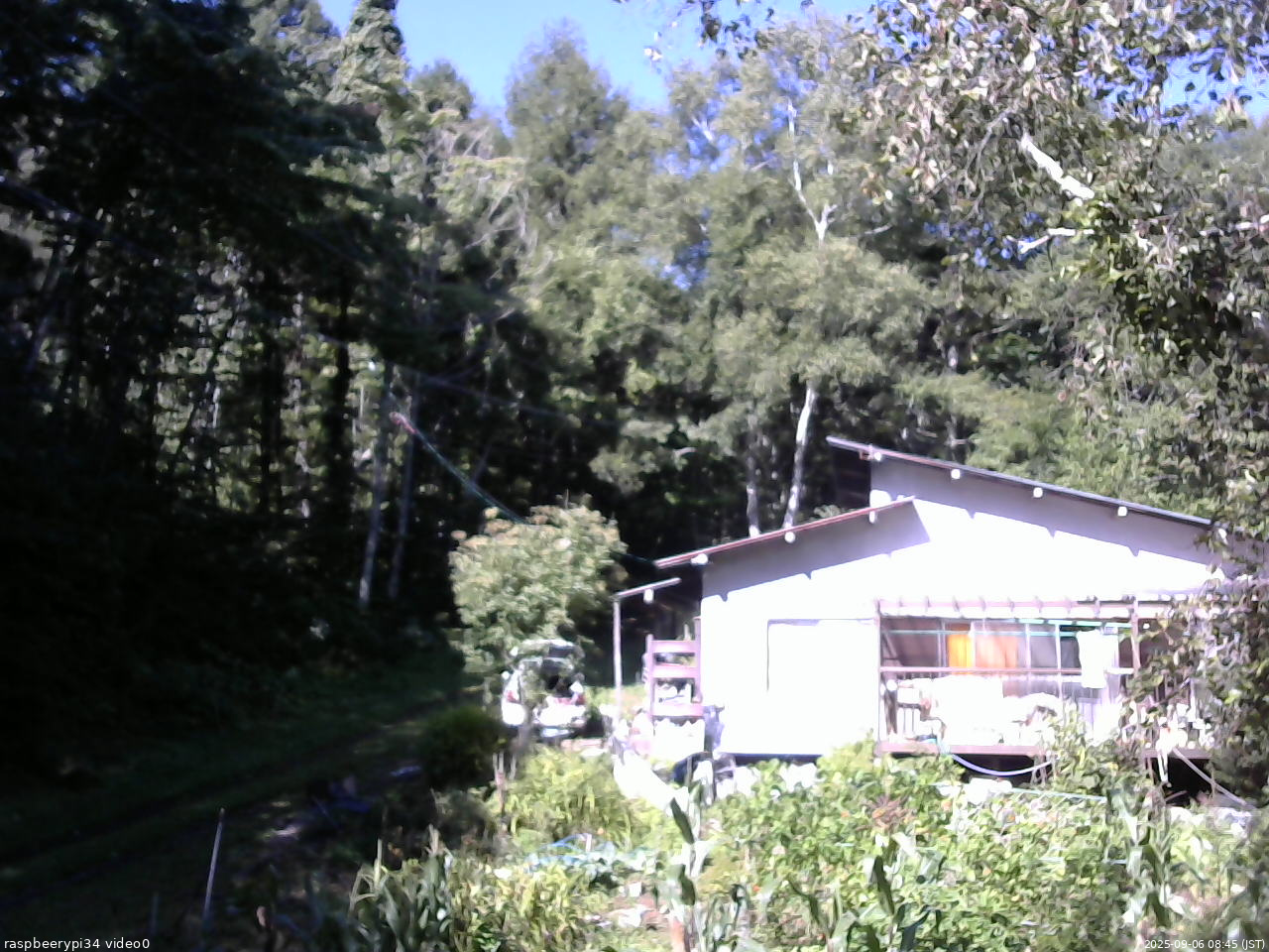 長野県菅平高原 ゆたか山荘 西側(坂上) 2025/09/06 08:45