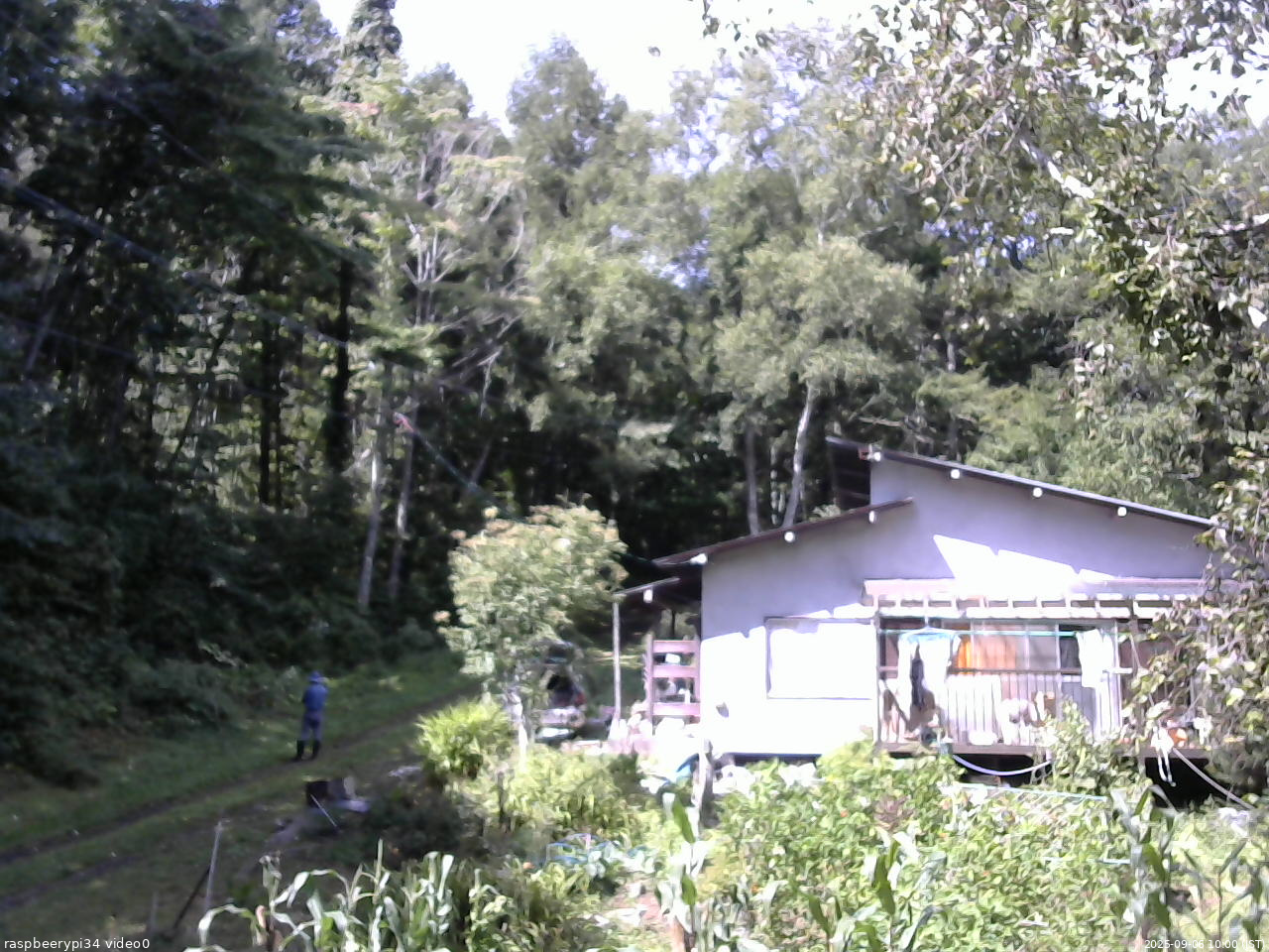 長野県菅平高原 ゆたか山荘 西側(坂上) 2025/09/06 10:00