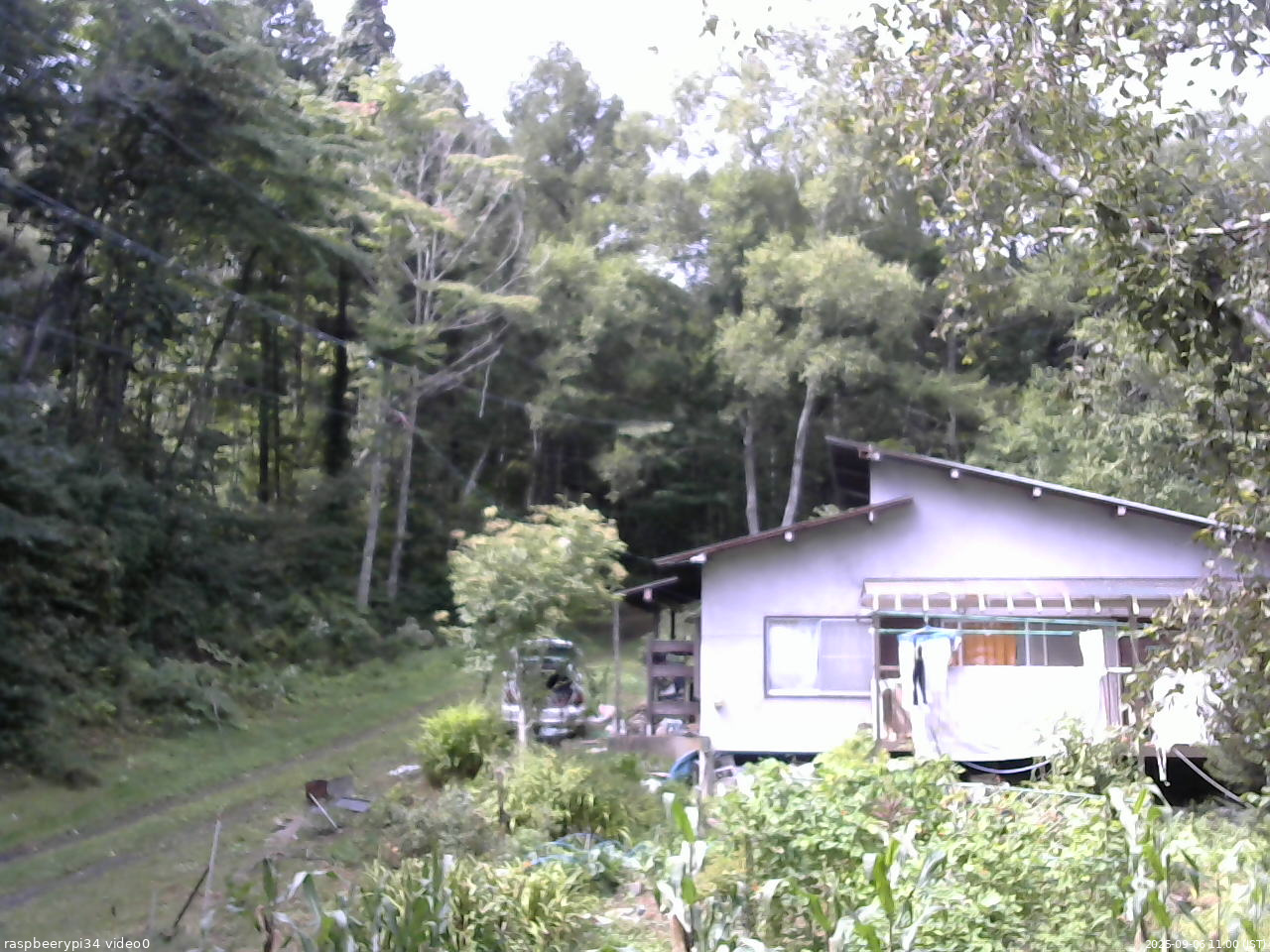 長野県菅平高原 ゆたか山荘 西側(坂上) 2025/09/06 11:00