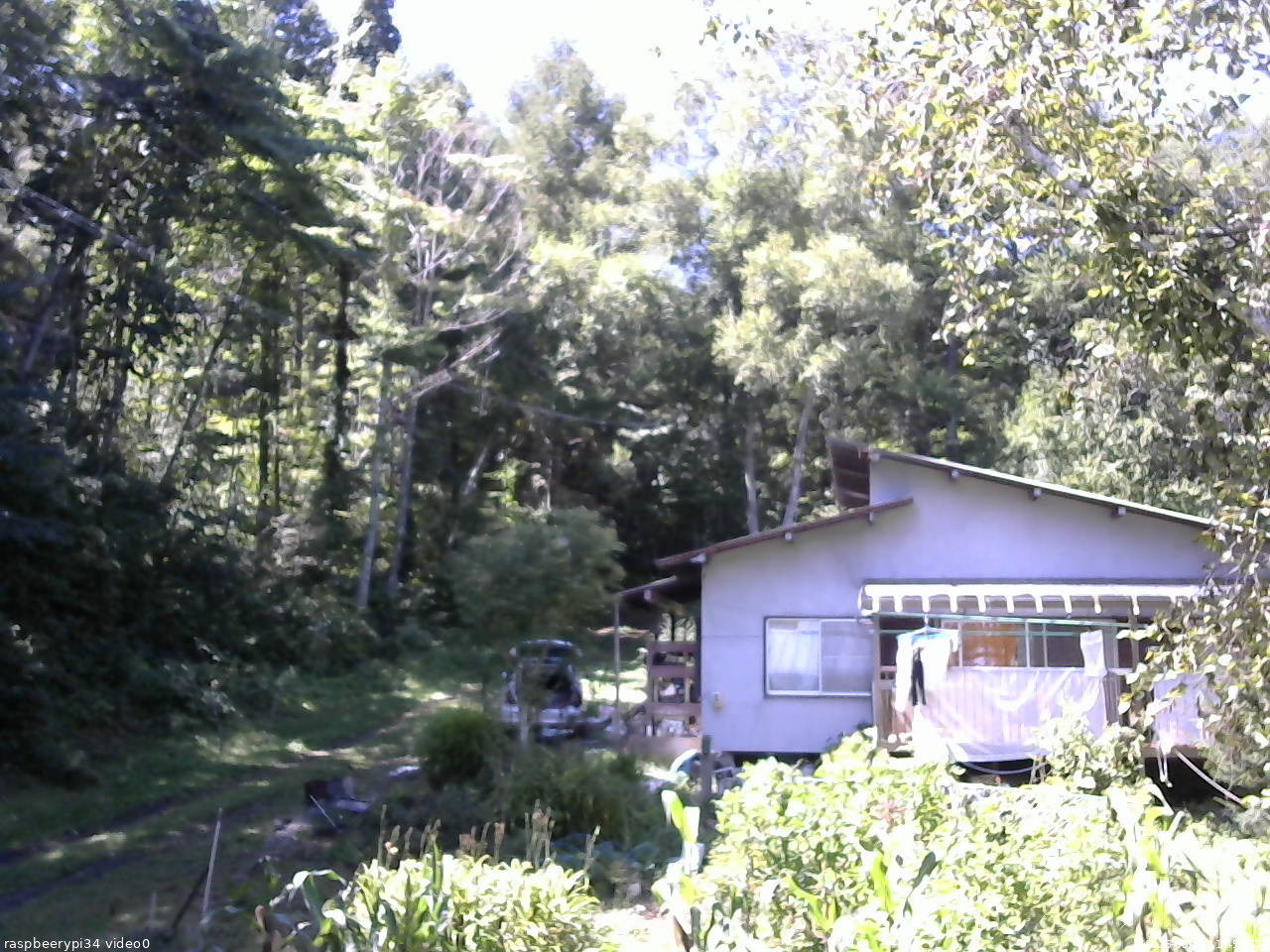 長野県菅平高原 ゆたか山荘 西側(坂上) 2025/09/06 11:45