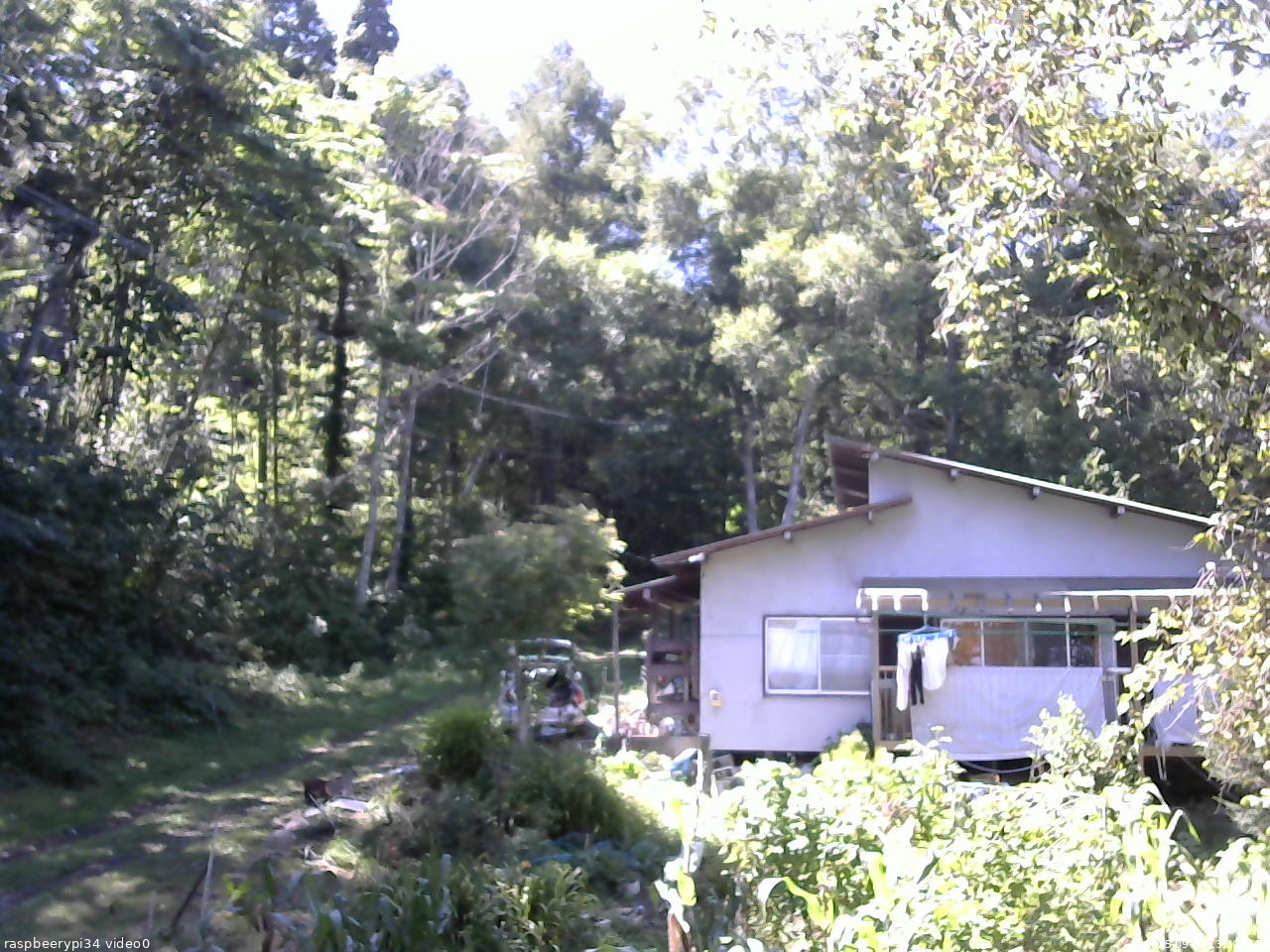 長野県菅平高原 ゆたか山荘 西側(坂上) 2025/09/06 13:00