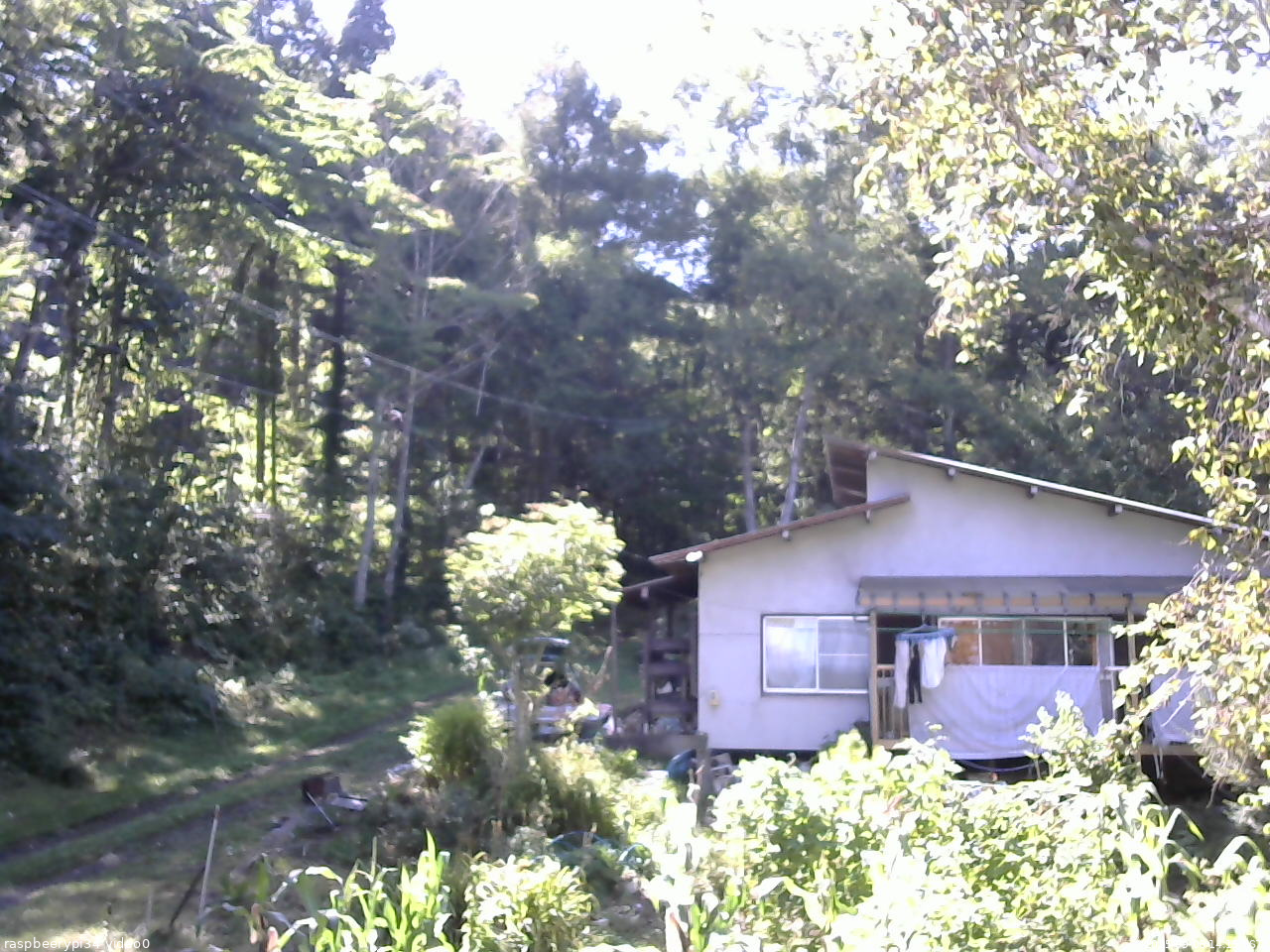 長野県菅平高原 ゆたか山荘 西側(坂上) 2025/09/06 14:15