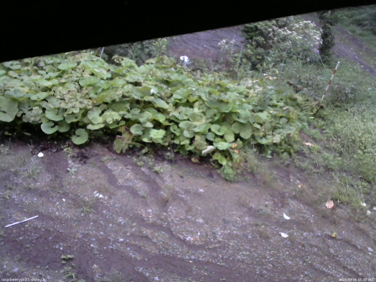 長野県菅平高原 ゆたか山荘 駐車場 2025/09/06 05:30