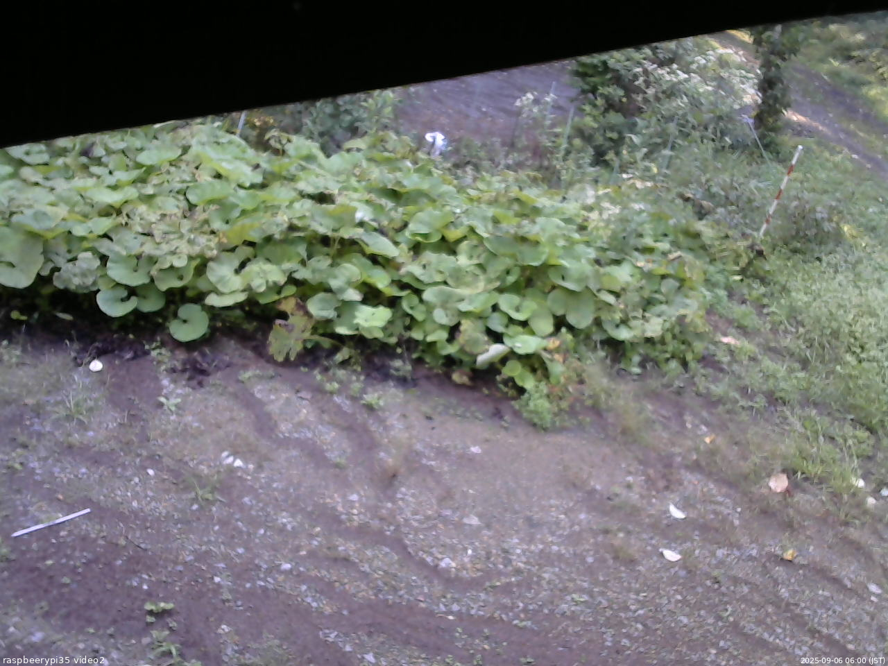 長野県菅平高原 ゆたか山荘 駐車場 2025/09/06 06:00