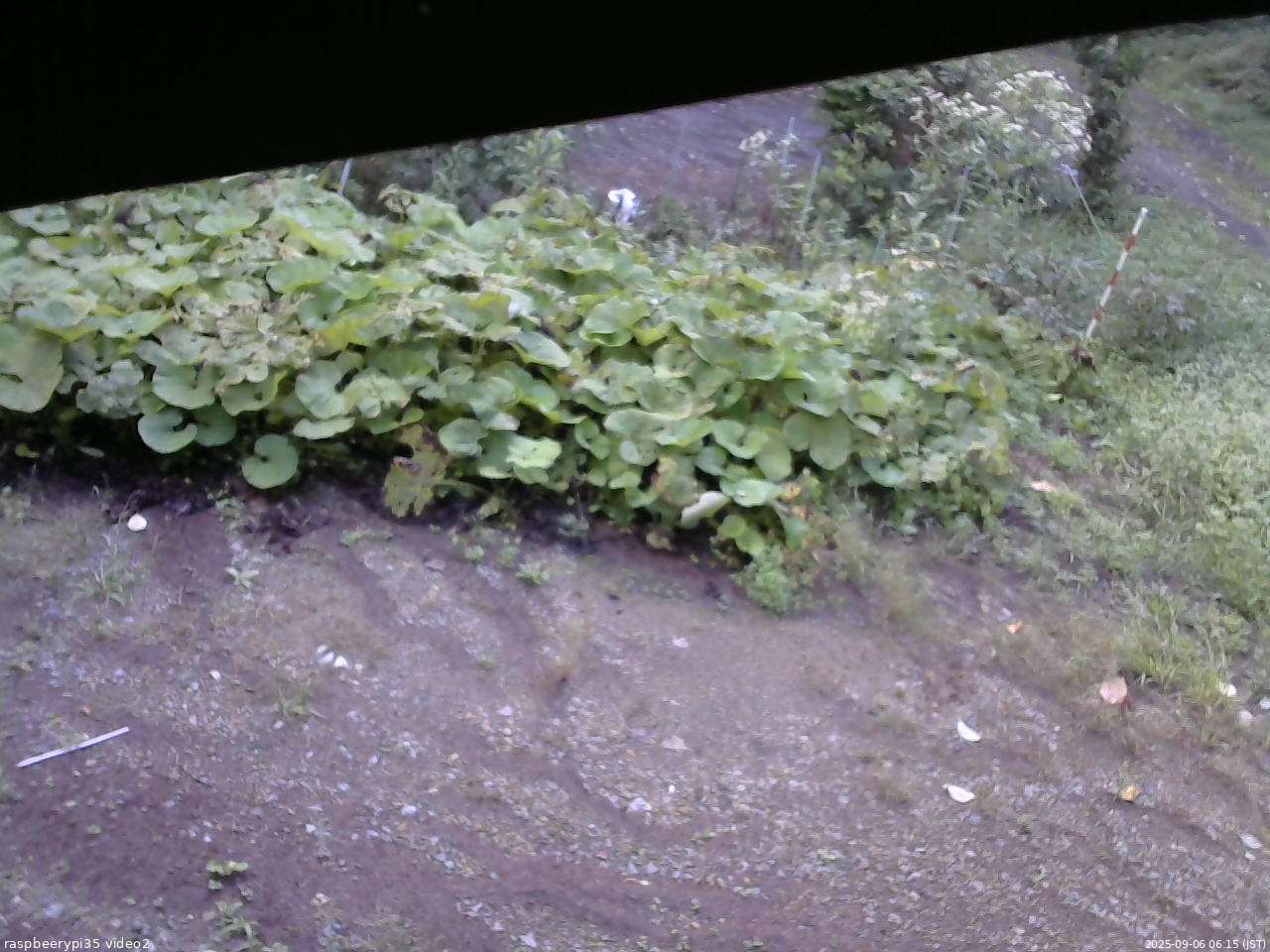 長野県菅平高原 ゆたか山荘 駐車場 2025/09/06 06:15