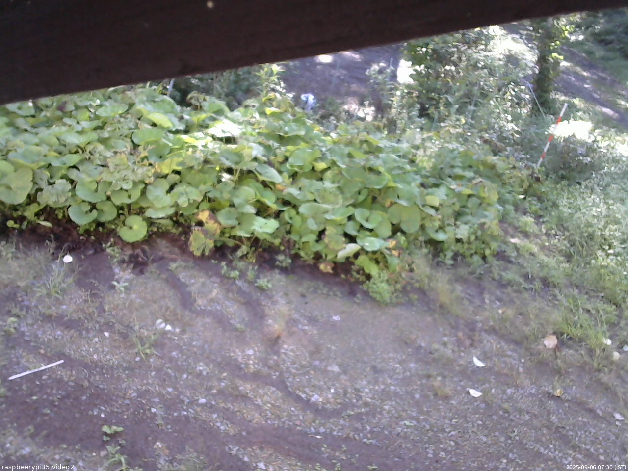 長野県菅平高原 ゆたか山荘 駐車場 2025/09/06 07:30