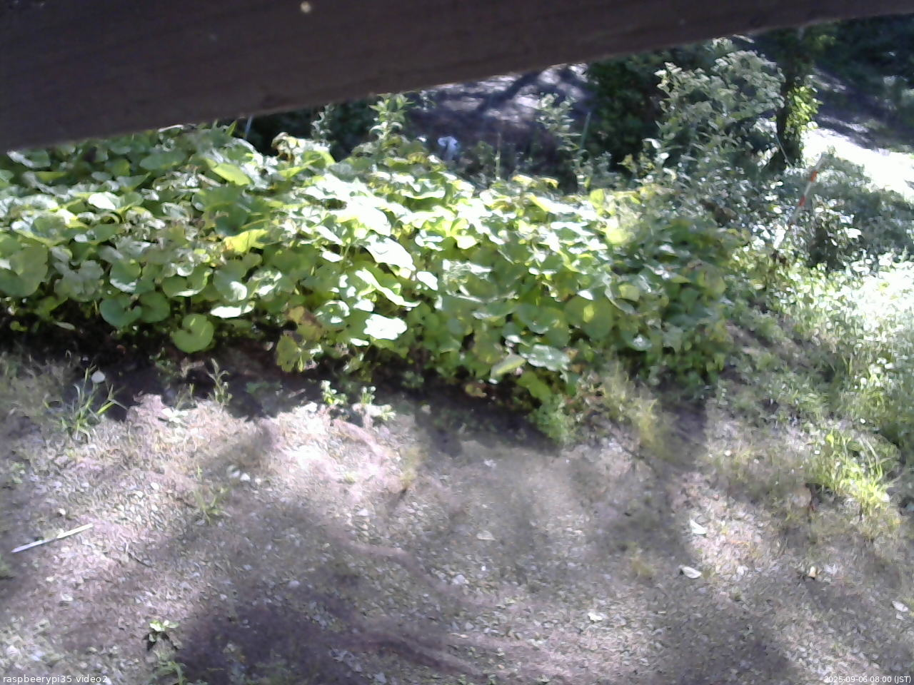 長野県菅平高原 ゆたか山荘 駐車場 2025/09/06 08:00