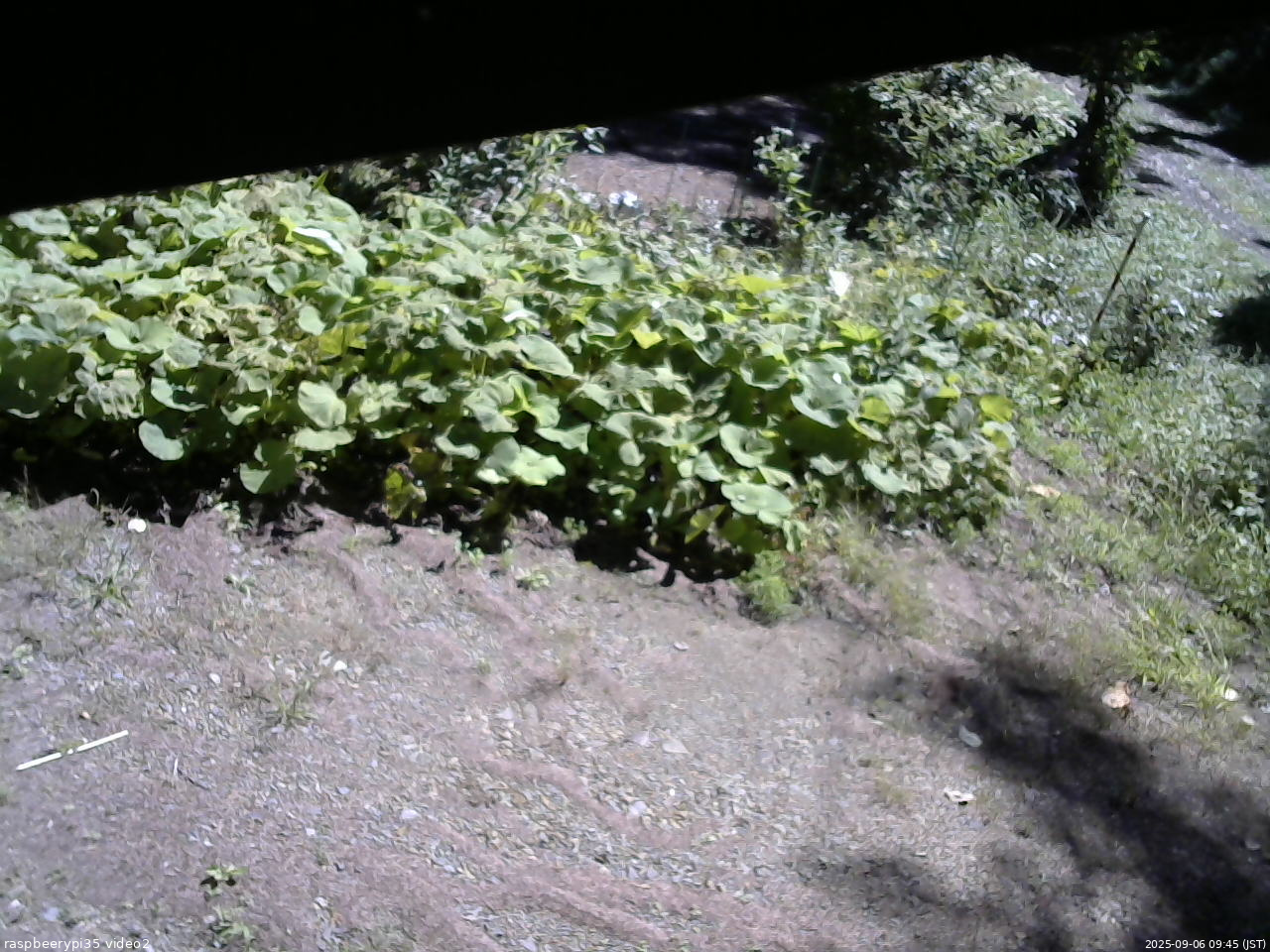 長野県菅平高原 ゆたか山荘 駐車場 2025/09/06 09:45