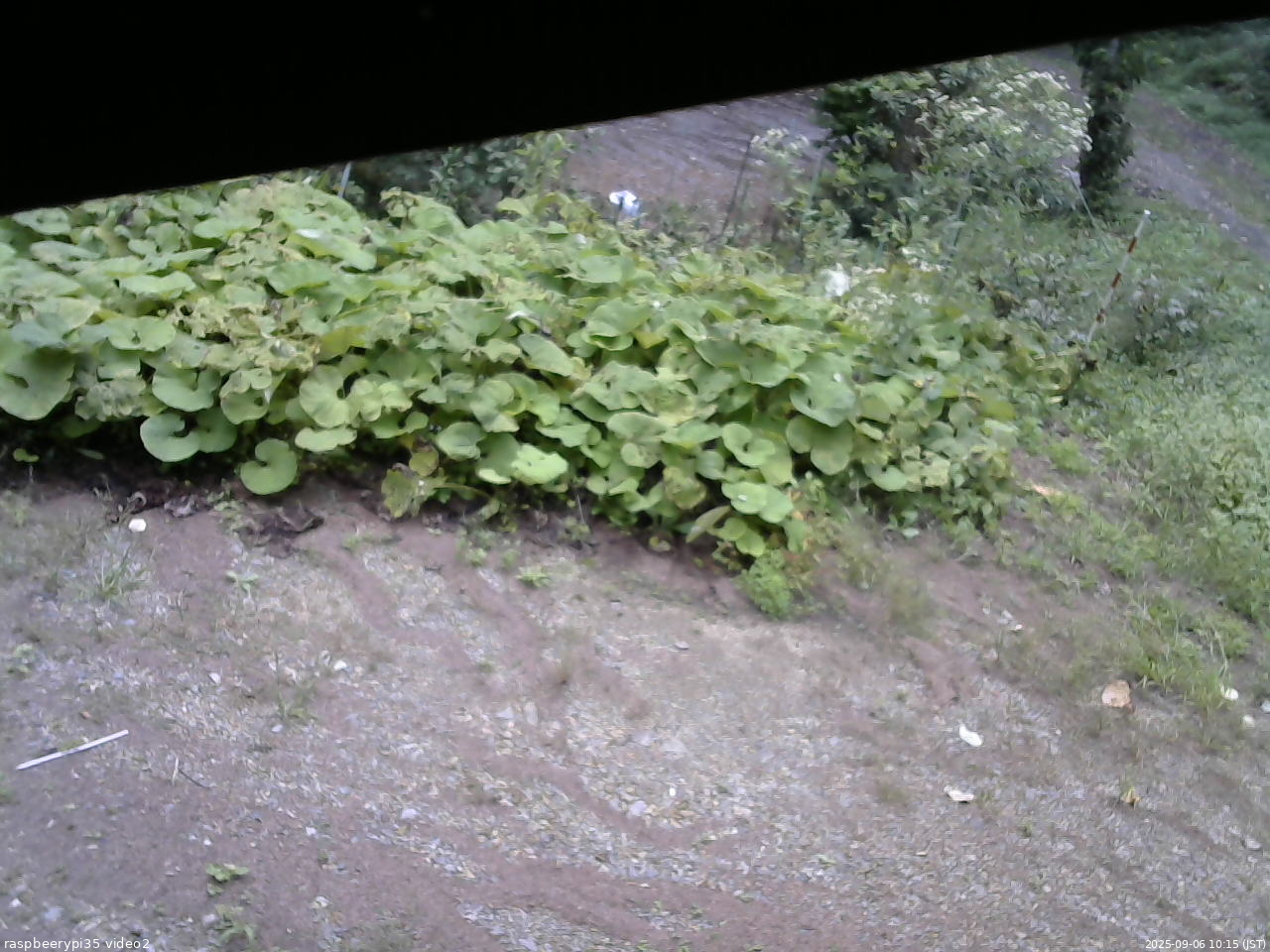 長野県菅平高原 ゆたか山荘 駐車場 2025/09/06 10:15