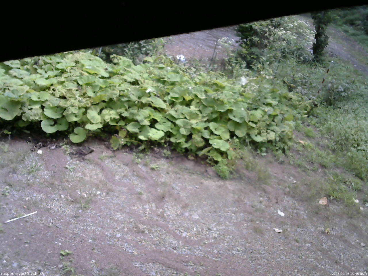 長野県菅平高原 ゆたか山荘 駐車場 2025/09/06 10:45