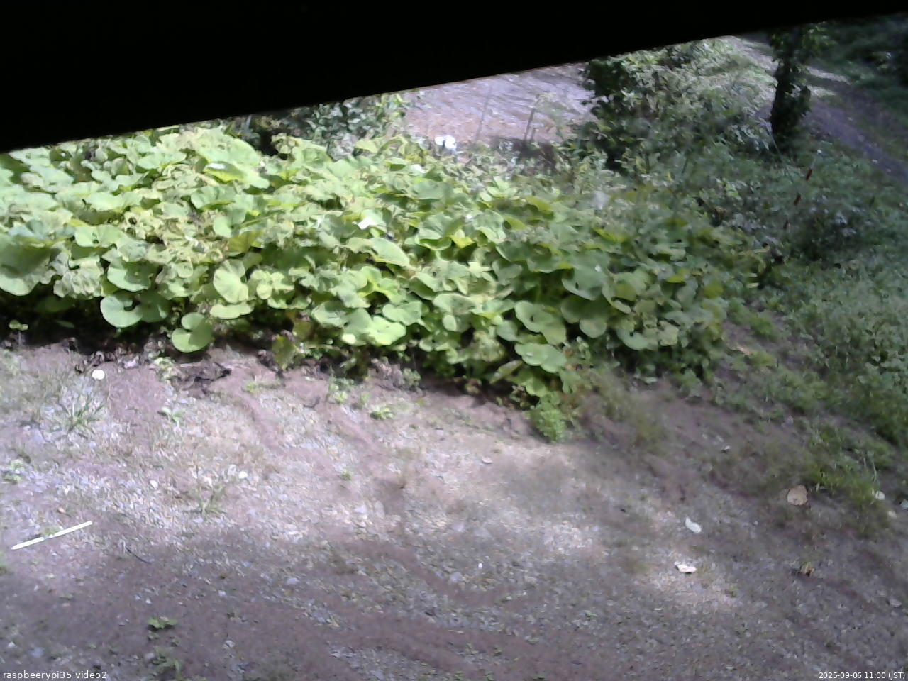 長野県菅平高原 ゆたか山荘 駐車場 2025/09/06 11:00