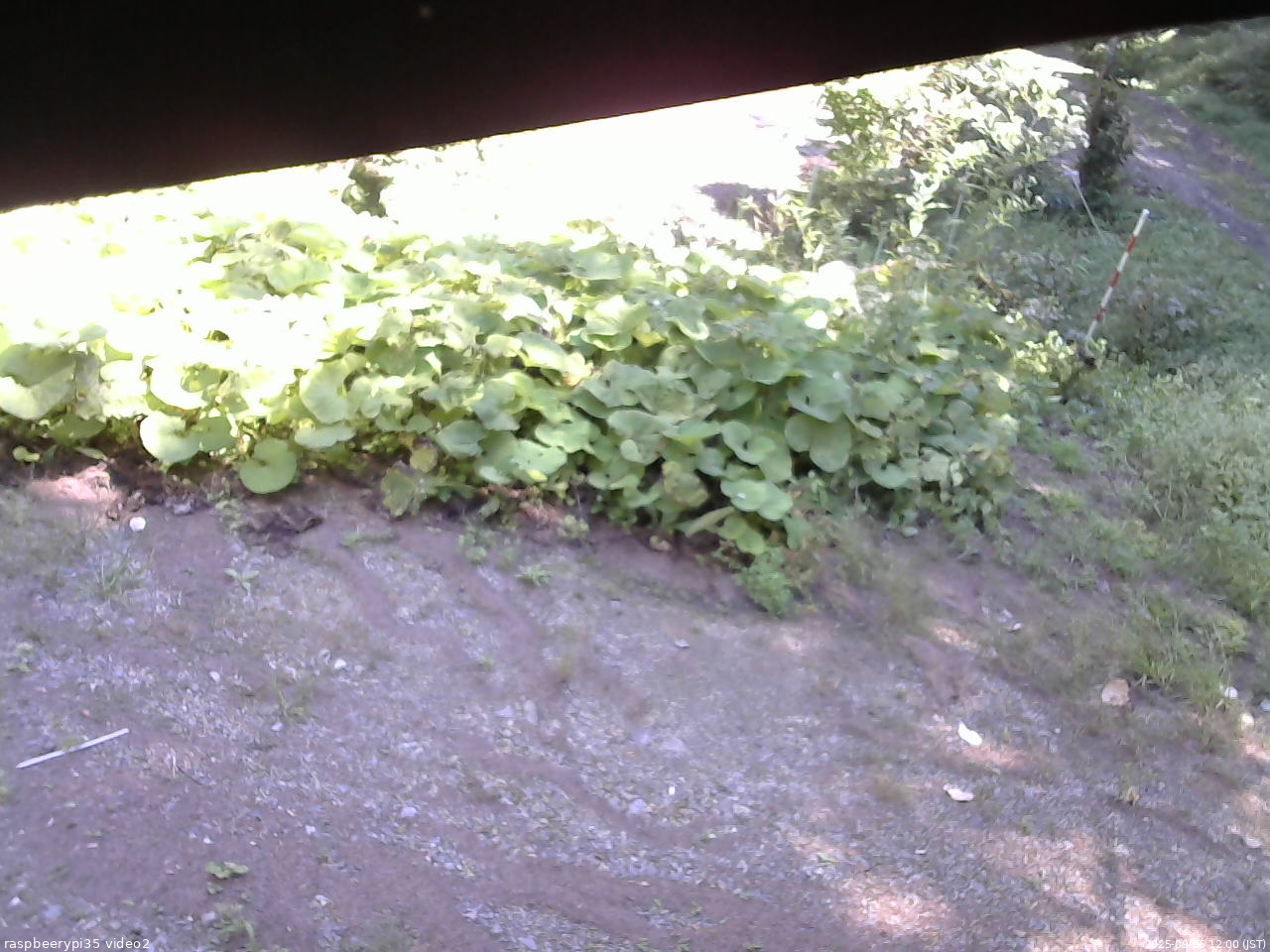 長野県菅平高原 ゆたか山荘 駐車場 2025/09/06 12:00