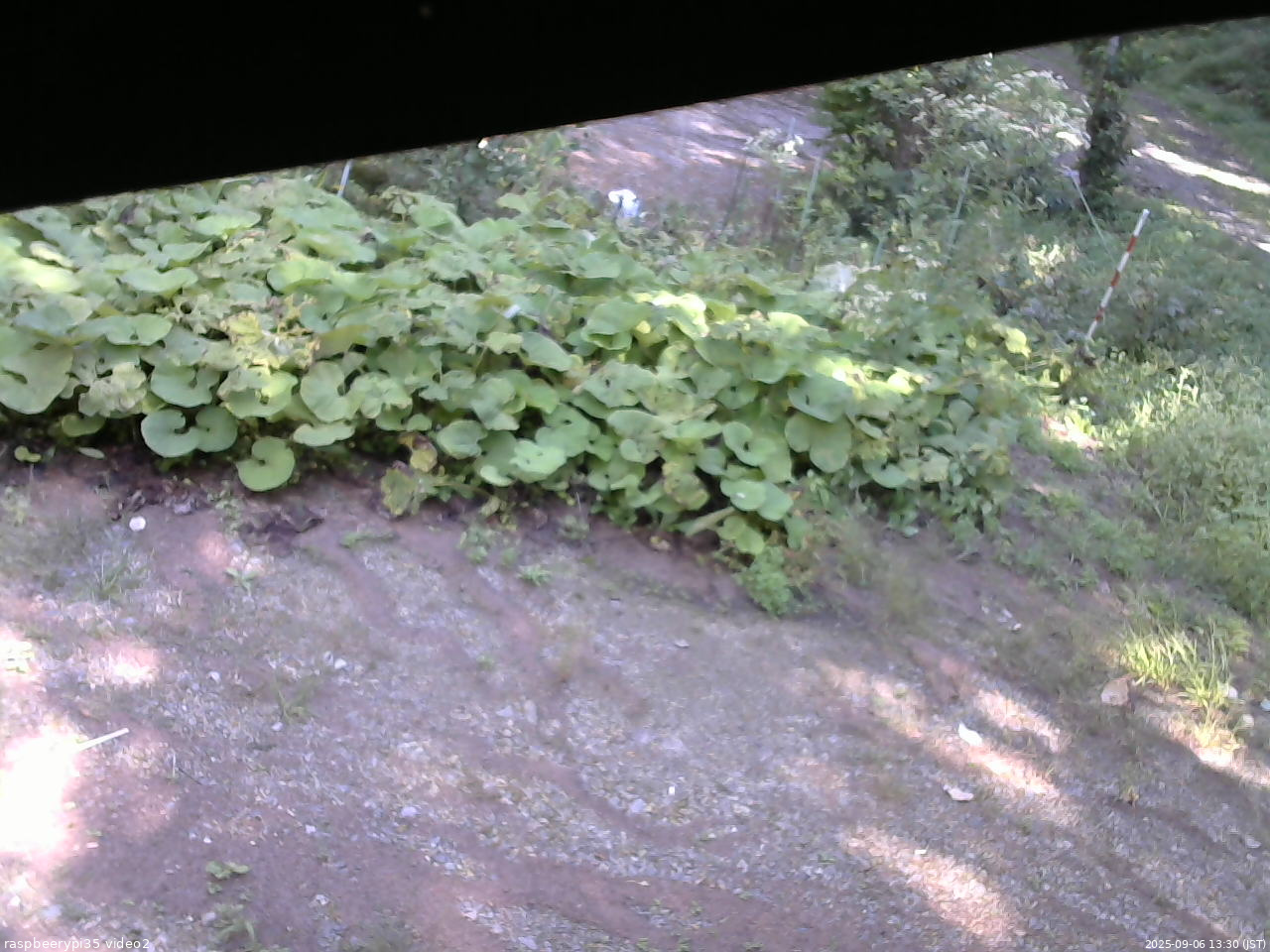 長野県菅平高原 ゆたか山荘 駐車場 2025/09/06 13:30