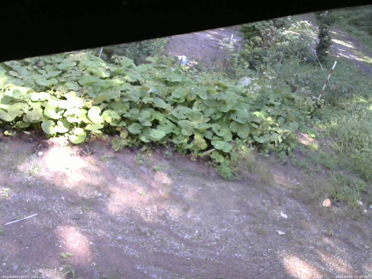 長野県菅平高原 ゆたか山荘 駐車場 2025/09/06 13:45