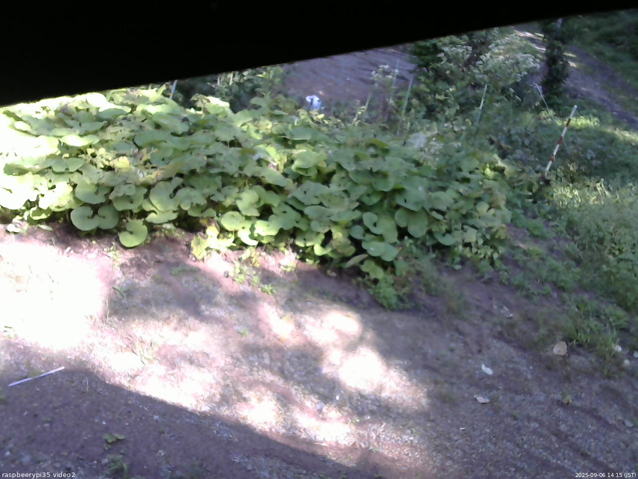 長野県菅平高原 ゆたか山荘 駐車場 2025/09/06 14:15