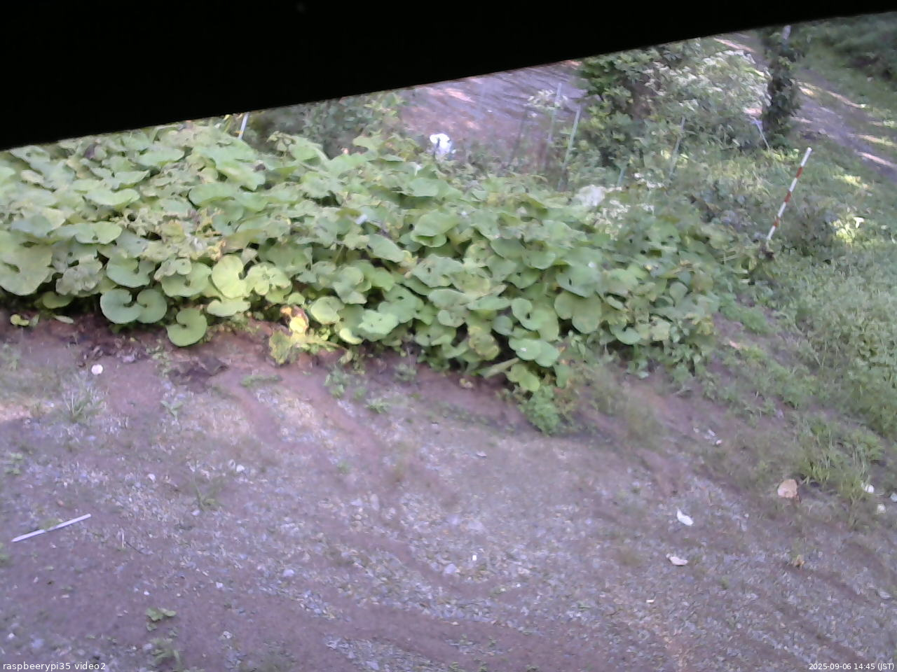 長野県菅平高原 ゆたか山荘 駐車場 2025/09/06 14:45