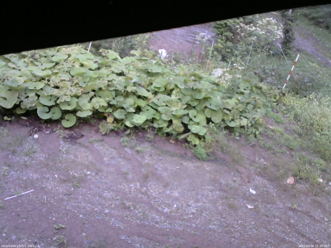 長野県菅平高原 ゆたか山荘 駐車場 2025/09/06 15:30