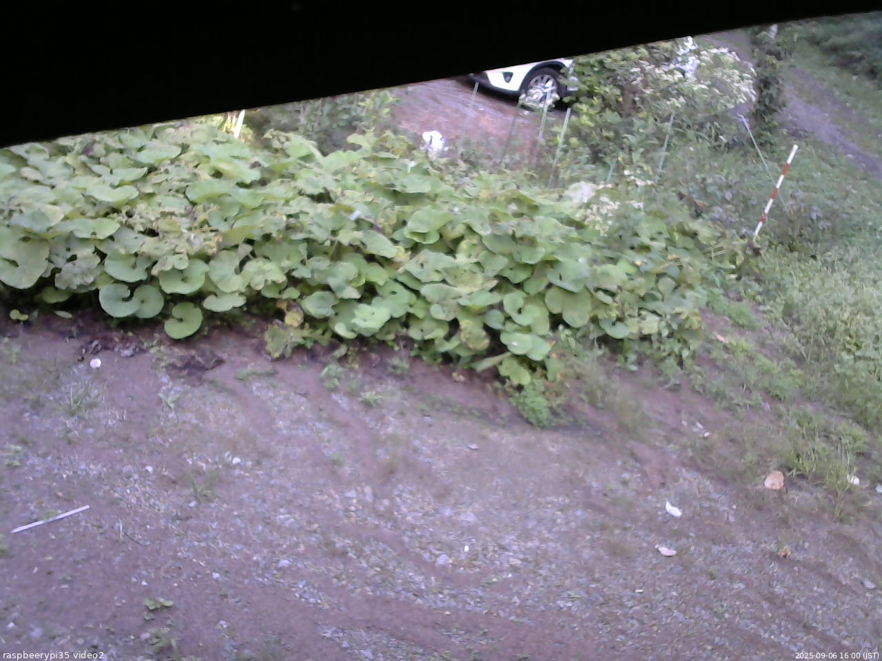 長野県菅平高原 ゆたか山荘 駐車場 2025/09/06 16:00