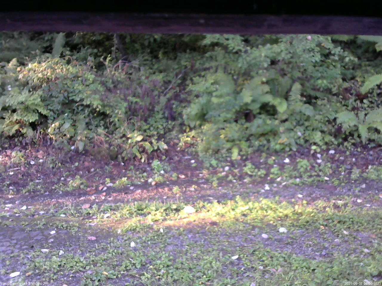 長野県菅平高原 ゆたか山荘 南側 2025/09/07 06:00