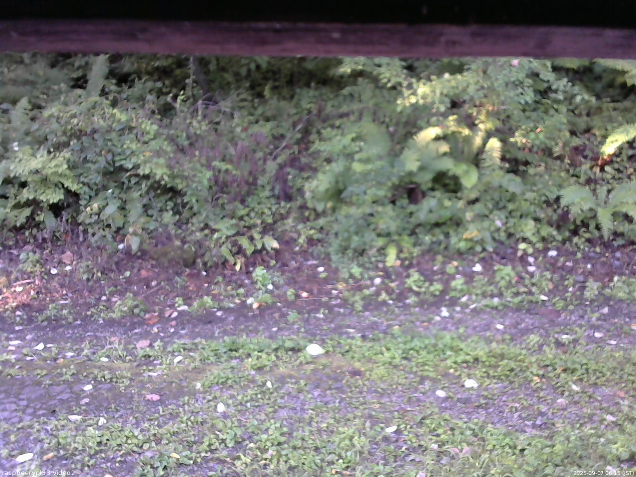 長野県菅平高原 ゆたか山荘 南側 2025/09/07 06:15