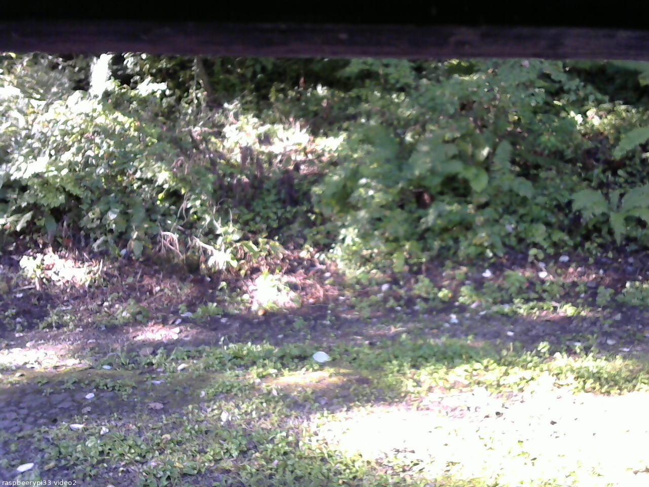 長野県菅平高原 ゆたか山荘 南側 2025/09/07 07:15