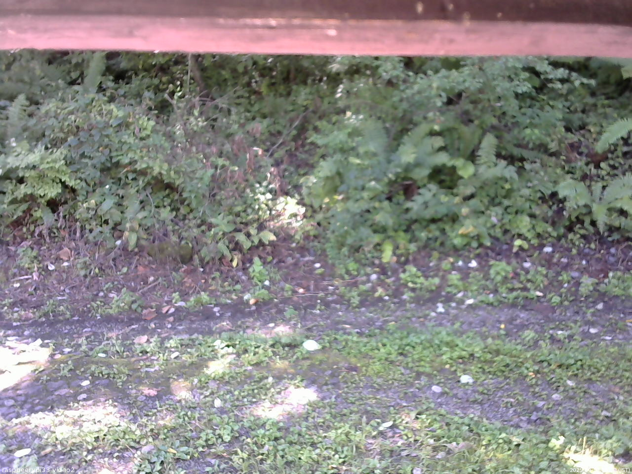 長野県菅平高原 ゆたか山荘 南側 2025/09/07 10:00
