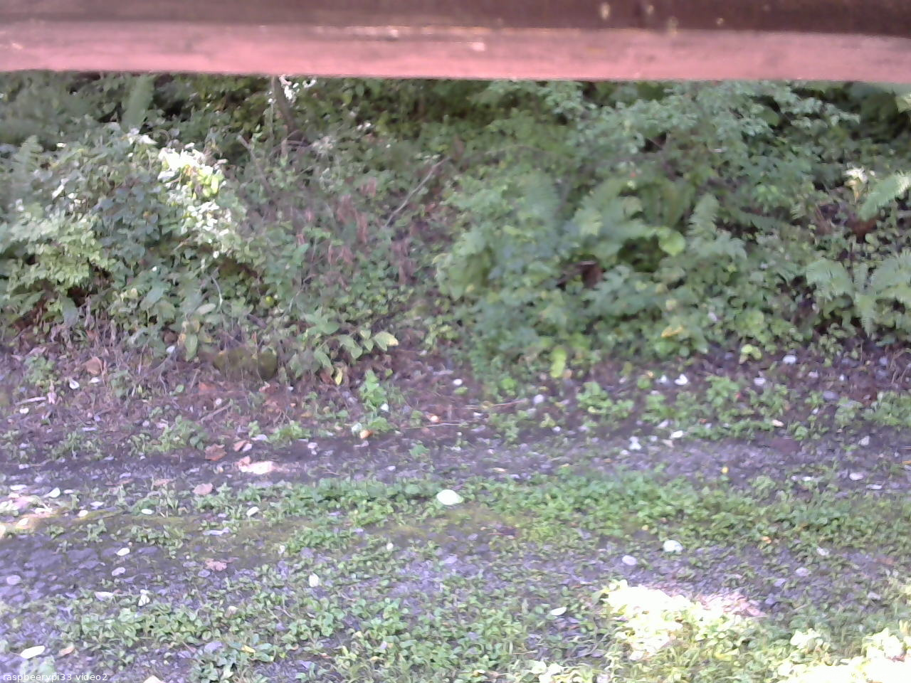長野県菅平高原 ゆたか山荘 南側 2025/09/07 10:15