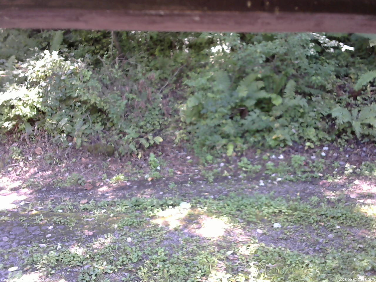 長野県菅平高原 ゆたか山荘 南側 2025/09/07 11:45