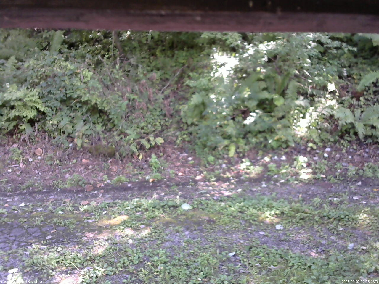 長野県菅平高原 ゆたか山荘 南側 2025/09/07 12:15
