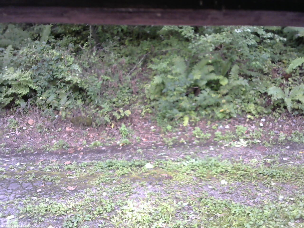 長野県菅平高原 ゆたか山荘 南側 2025/09/07 13:15
