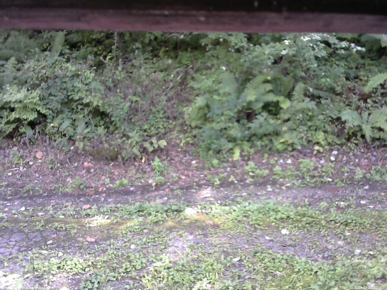 長野県菅平高原 ゆたか山荘 南側 2025/09/07 13:30