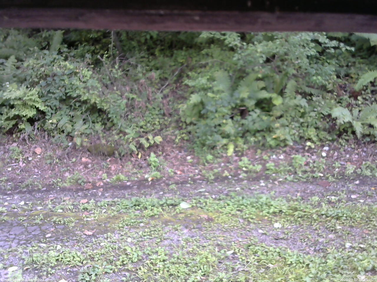 長野県菅平高原 ゆたか山荘 南側 2025/09/07 14:45