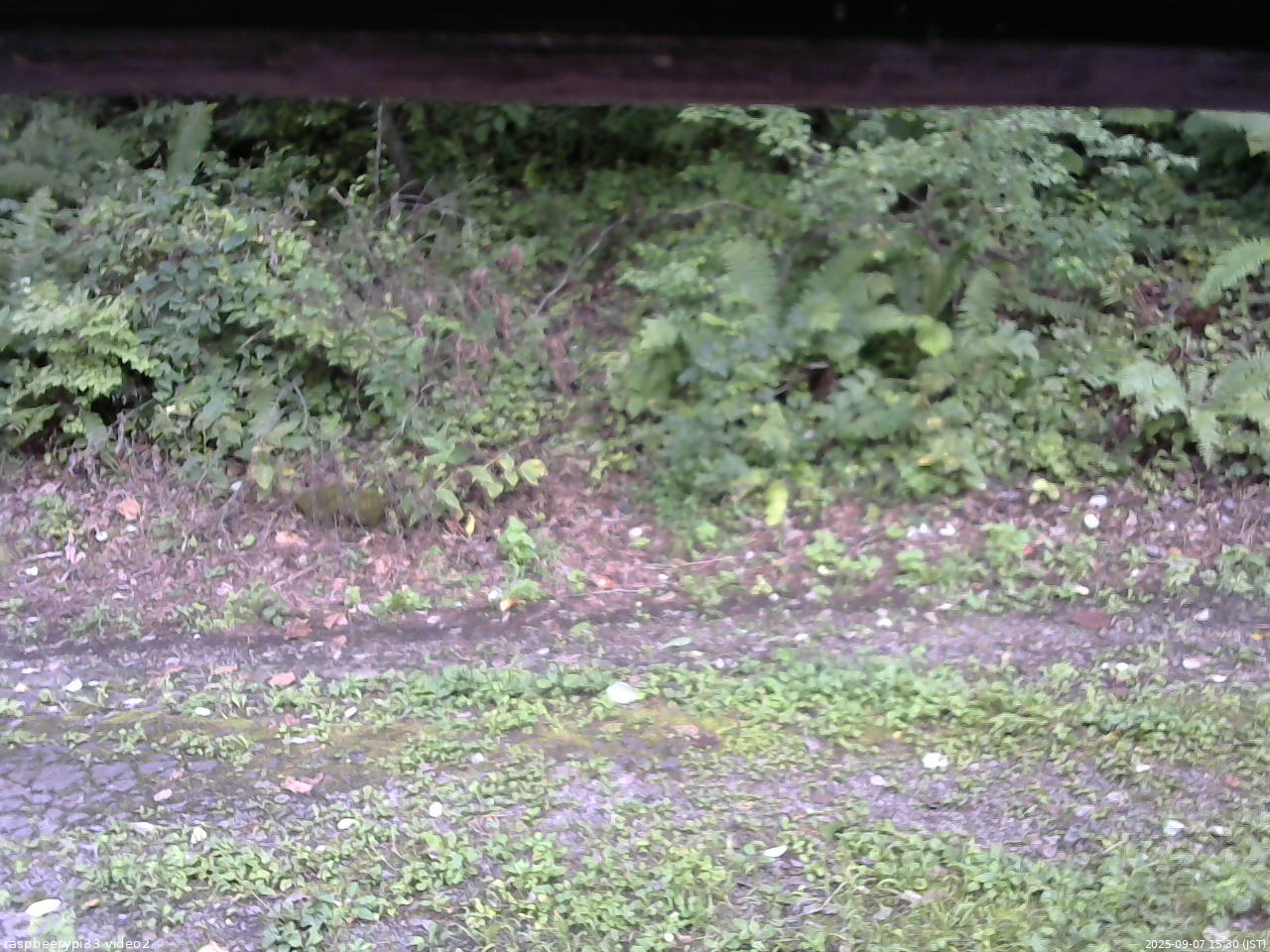 長野県菅平高原 ゆたか山荘 南側 2025/09/07 15:30