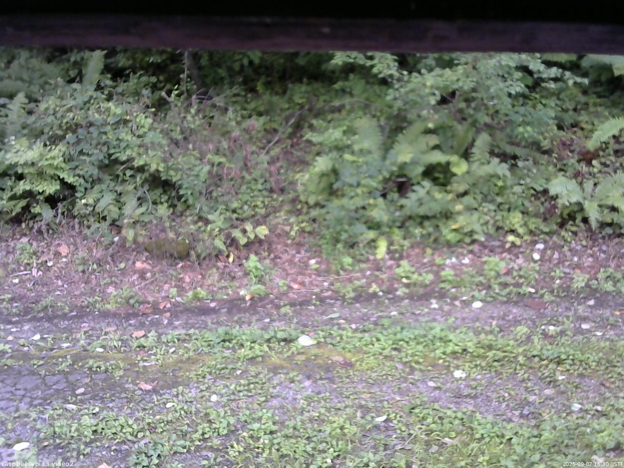 長野県菅平高原 ゆたか山荘 南側 2025/09/07 16:30