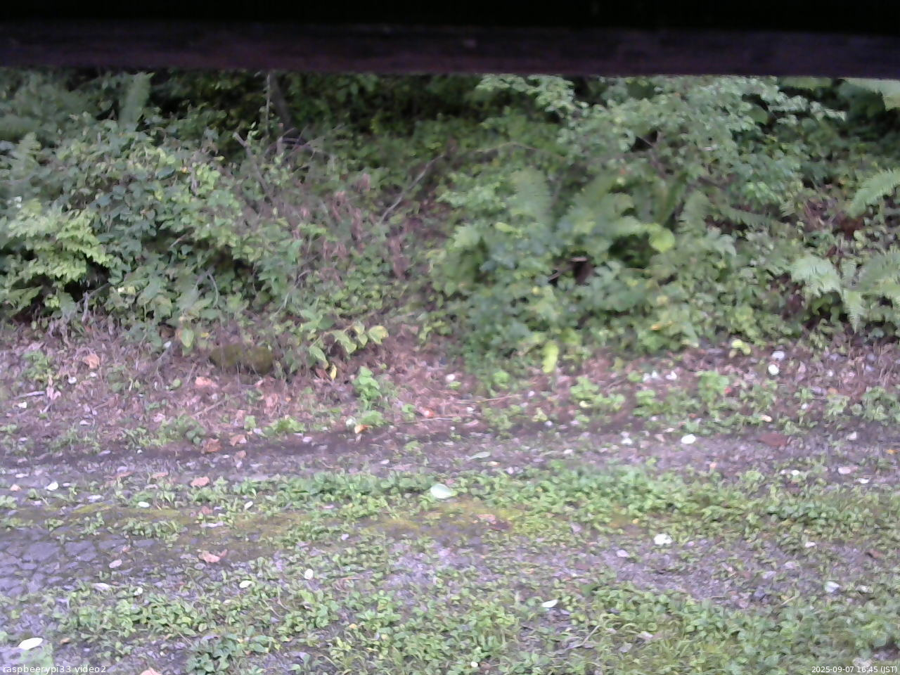 長野県菅平高原 ゆたか山荘 南側 2025/09/07 16:45