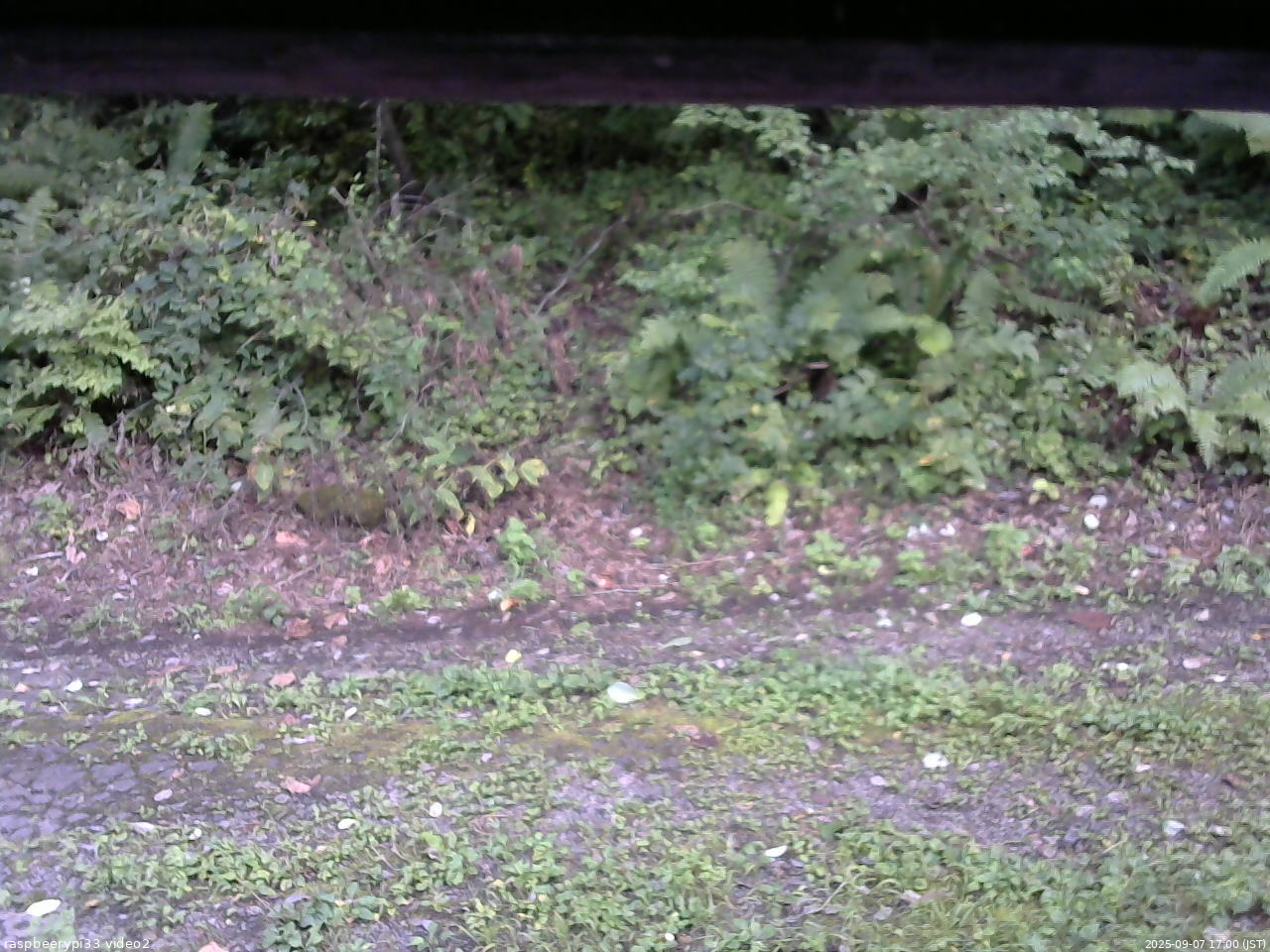 長野県菅平高原 ゆたか山荘 南側 2025/09/07 17:00