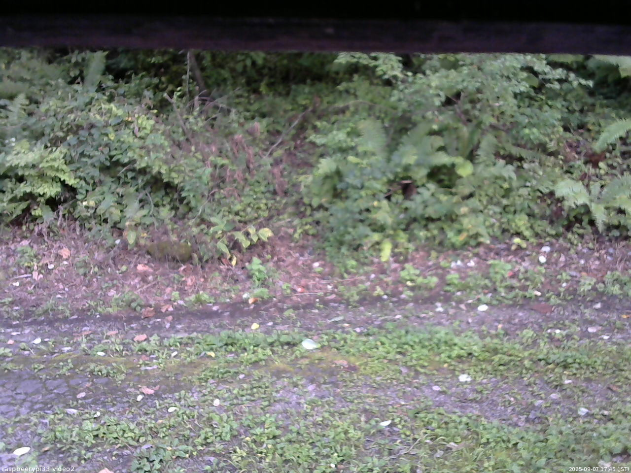 長野県菅平高原 ゆたか山荘 南側 2025/09/07 17:45