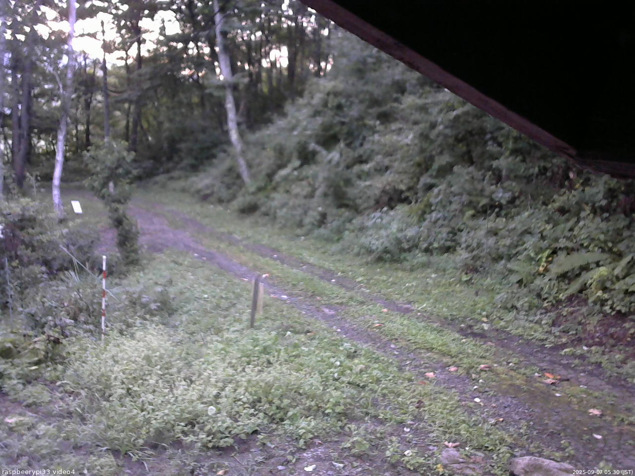 長野県菅平高原 ゆたか山荘 東側(坂下) 2025/09/07 05:30