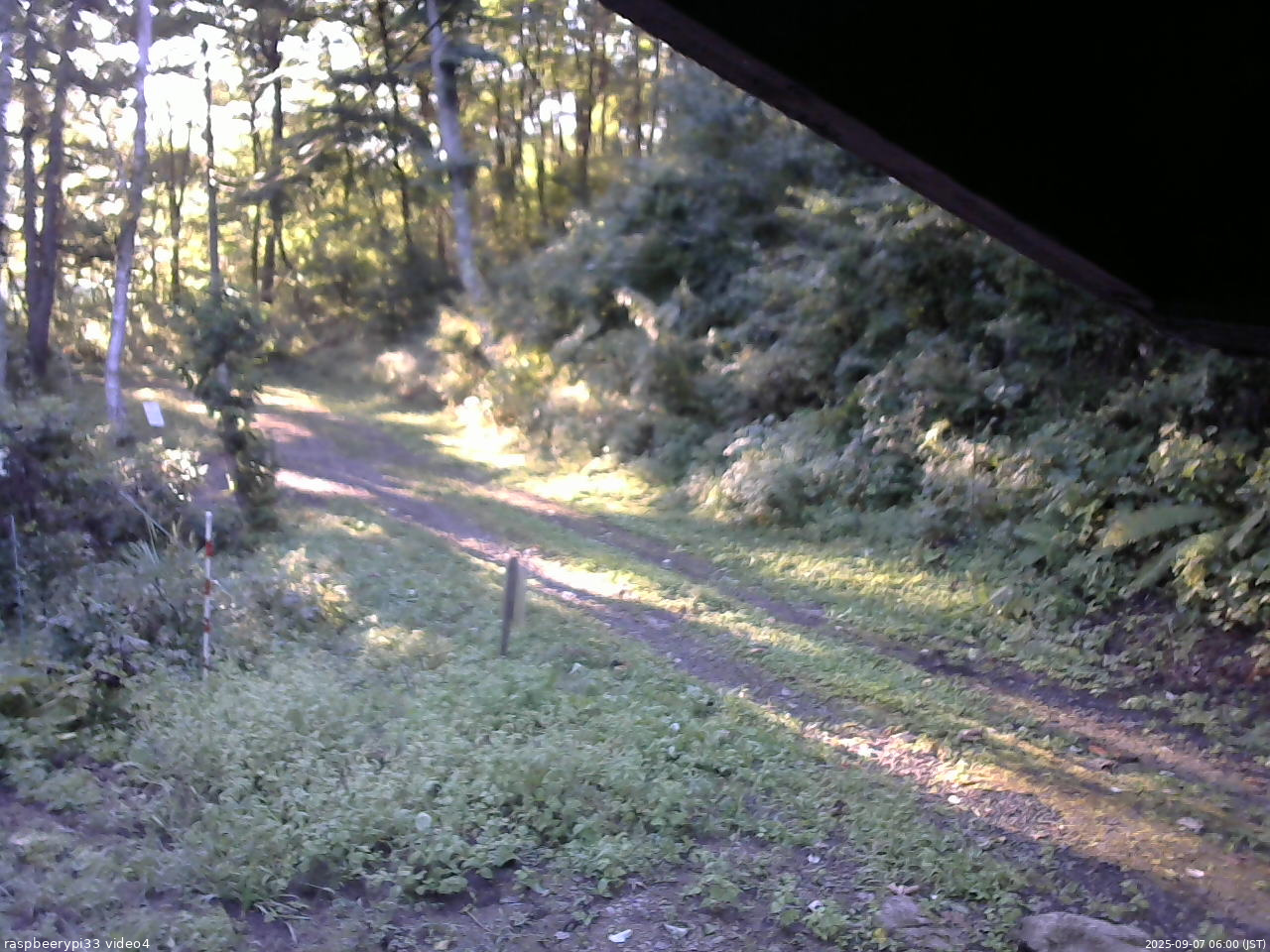 長野県菅平高原 ゆたか山荘 東側(坂下) 2025/09/07 06:00