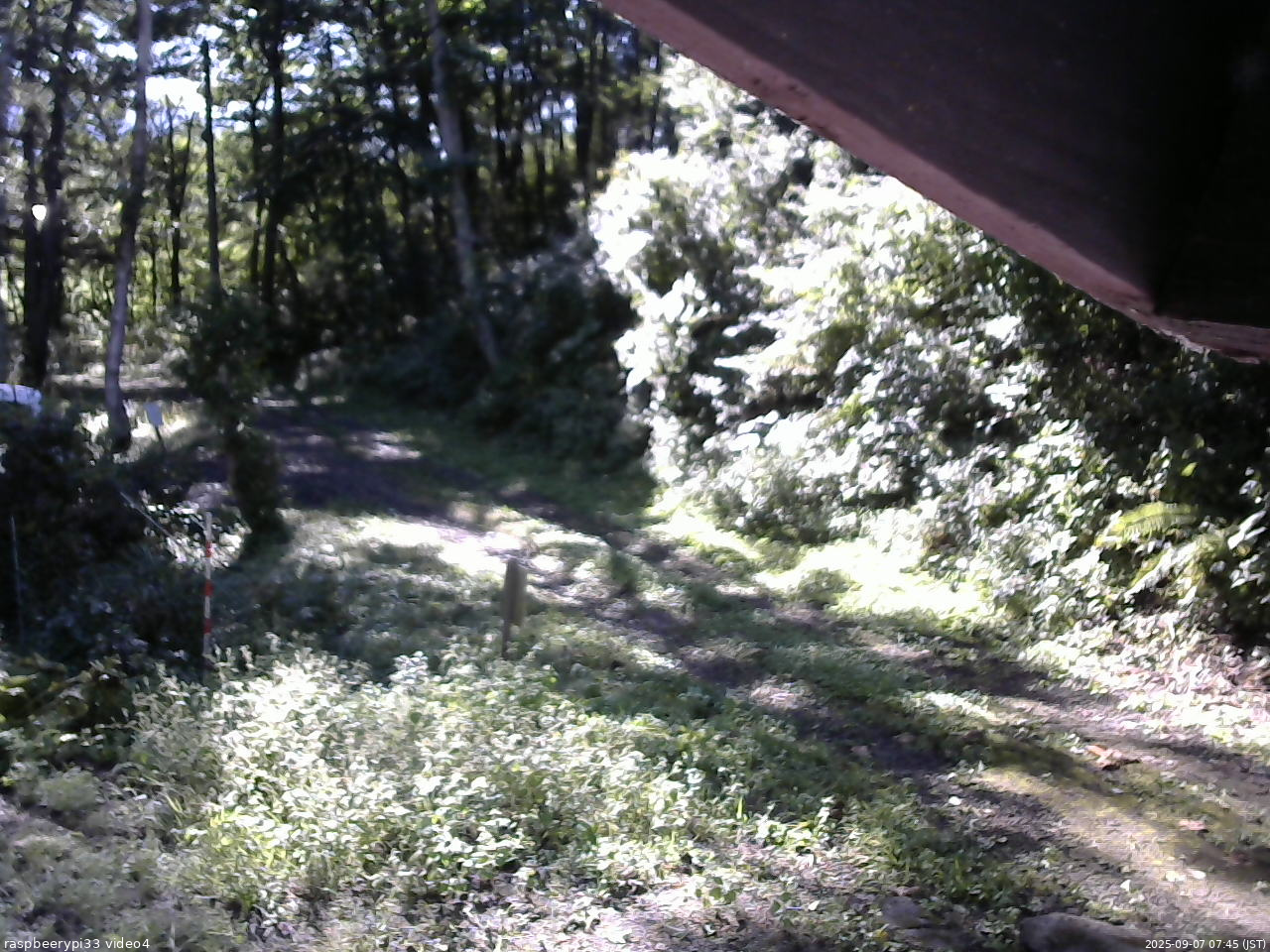 長野県菅平高原 ゆたか山荘 東側(坂下) 2025/09/07 07:45