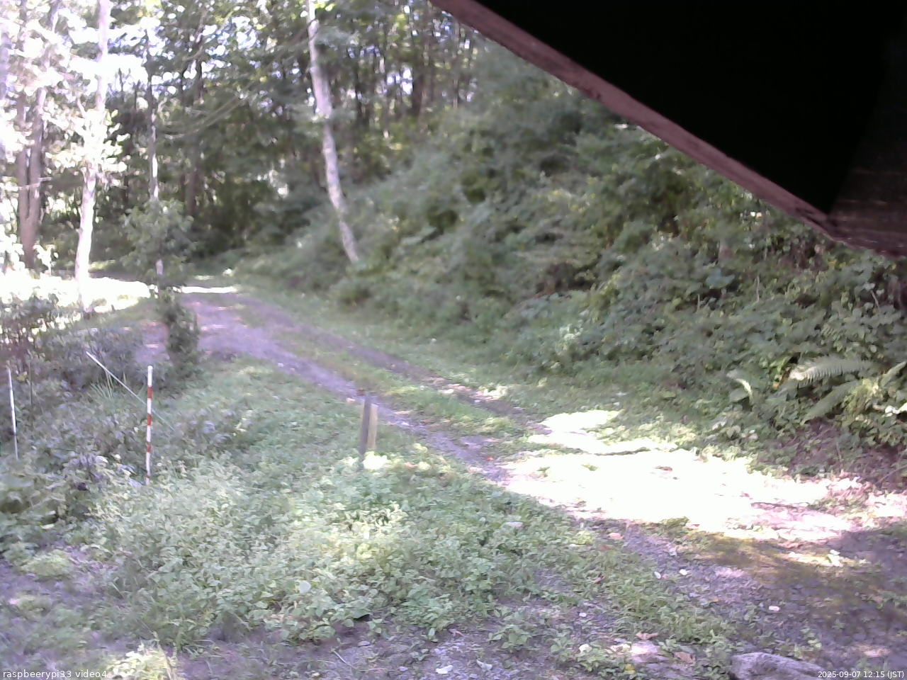 長野県菅平高原 ゆたか山荘 東側(坂下) 2025/09/07 12:15